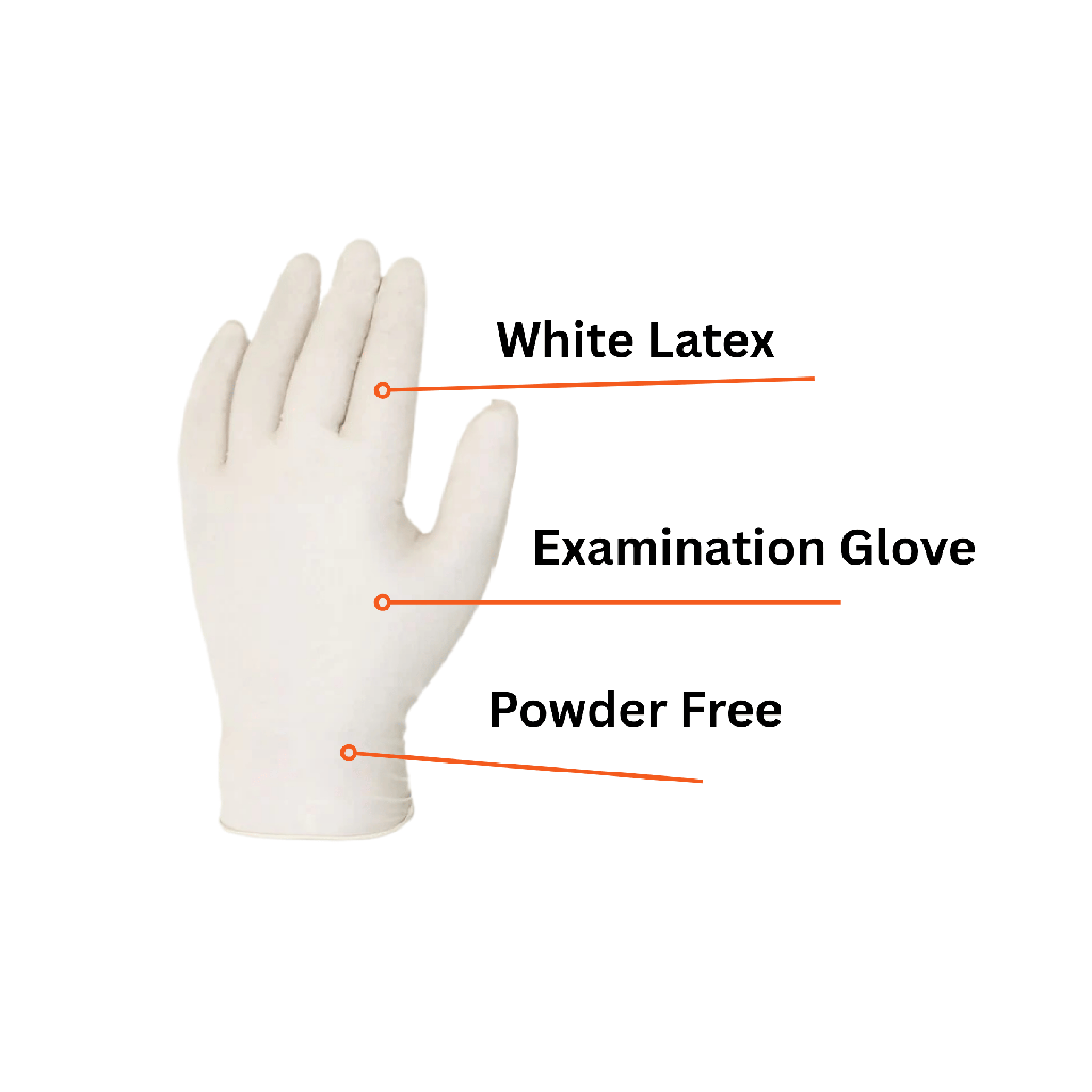 Latex Disposable Exam Gloves - Case Quantity (10  Boxes)