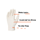 Latex Disposable Exam Gloves - Case Quantity (10  Boxes)