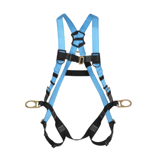 [2100] Economy Full Body Harness
