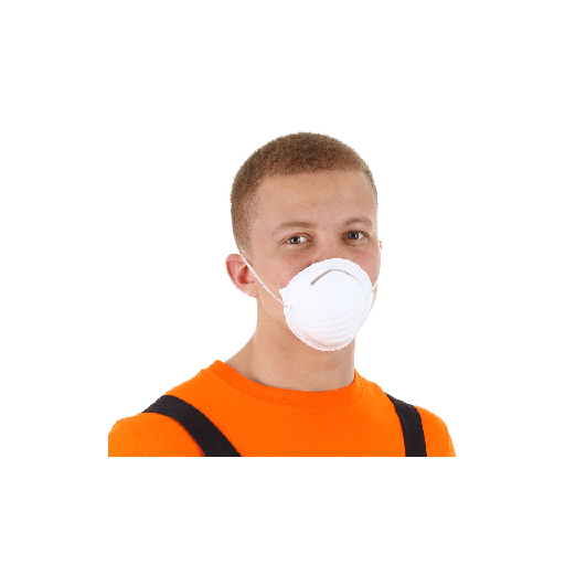 [CDM2 - Box] Dust Mask